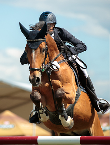 AusSport Scoreboards horse and rider showjumping