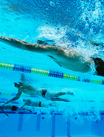 AusSport Scoreboards underwater photo of swimmers in race
